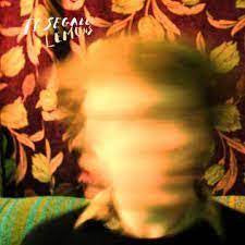 SEGALL TY-LEMONS LP NM COVER VG+