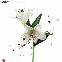 CULT THE-HIDDEN CITY CD *NEW*