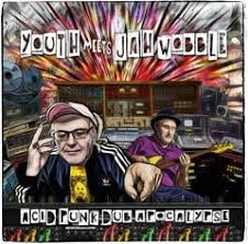 YOUTH MEETS JAH WOBBLE-ACID PUNK DUB APOCALYPSE CD *NEW*