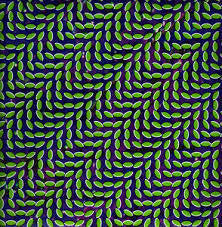 ANIMAL COLLECTIVE-MERRIWEATHER POST PAVILION 2LP NM COVER VG+
