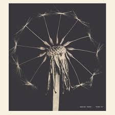 FUNKE MAXINE-HOME FI PLUM VINYL LP *NEW*