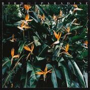 BIRD OF PARADISE-BIRD OF PARADISE LP *NEW*