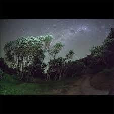 ESBEN & THE WITCH-OLDER TERRORS CD *NEW*