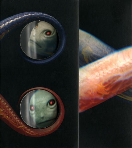 TOOL-VICARIOUS DVD VG