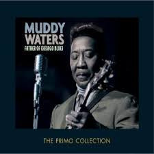 WATERS MUDDY-FATHER OF THE CHICAGO BLUES 2CD VG+