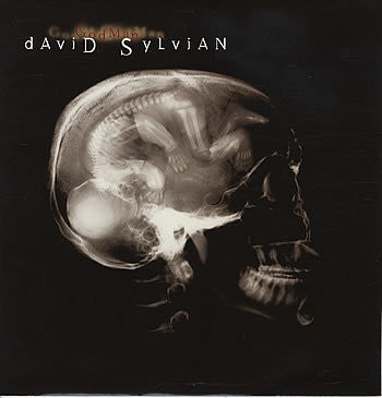 SYLVIAN DAVID-GOD MAN 12INCH NM COVER E