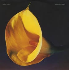 SWANS-SAVED 12" VG+ COVER VG+