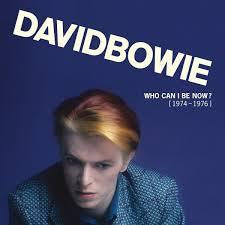 BOWIE DAVID-WHO CAN I BE NOW (1974-1976) 13LP BOXSET *NEW*