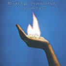 MIGHTY DIAMONDS-ICE ON FIRE LP *NEW* WAS $34.99 NOW...