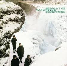 ECHO & THE BUNNYMEN-PORCUPINE LP *NEW*