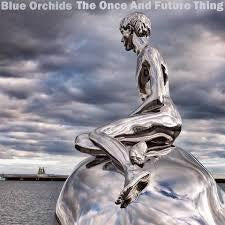 BLUE ORCHIDS-ONCE & FUTURE THING LP NM COVER EX was $21.99 now...