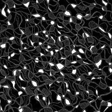 WAR GARY/ PURPLE PILGRIMS-SPLIT LP NM COVER EX