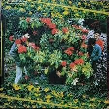 SNEAKY FEELINGS-SENTIMENTAL EDUCATION LP NM COVER VG+