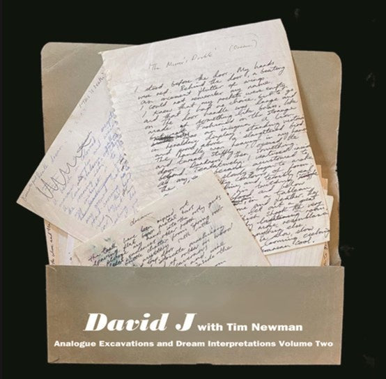 J DAVID WITH TIM NEWMAN-ANALOGUE EXCAVATIONS & DREAM INTERPRETATIONS VOL. 2 MILKY CLEAR VINYL LP *NEW* was $59.99 now...