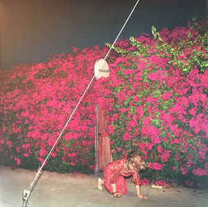 FEIST-PLEASEURE 2LP *NEW*