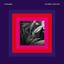 BATHGATE ALEC-INDIFFERENT VELVET VOID PURPLE VINYL LP *NEW*