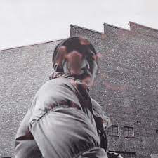 HARDING ALDOUS-WARM CHRIS LP *NEW*