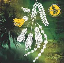 SALMONELLA DUB-RETURN TO OUR KOWHAI # RUA LP *NEW*