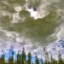 WILLIAMS YASMIN-URBAN DRIFTWOOD CD *NEW*