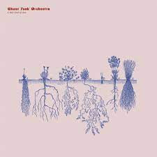 GHOST FUNK ORCHESTRA-A NEW KIND OF LOVE CD *NEW*