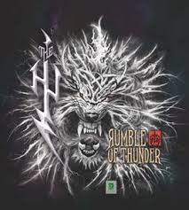 HU THE-RUMBLE OF THUNDER FRUIT PUNCH VINYL 2LP *NEW*