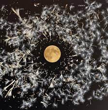 O'NEILL LISA-ALL OF THIS IS CHANCE CD *NEW*