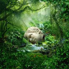 WEEZER-SZNZ: SPRING LP *NEW*