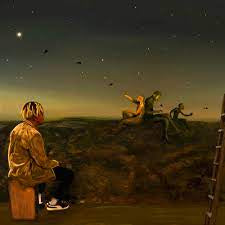 CORDAE-FROM A BIRDS EYE VIEW TAN VINYL LP *NEW*