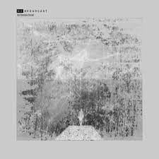 NO BROADCAST-THE COMMON THREAD LP *NEW*