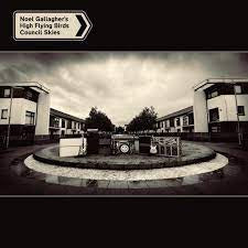 GALLAGHER'S NOEL HIGH FLYING BIRDS-COUNCIL SKIES LP+7" *NEW*