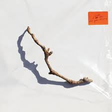 HARVEY PJ-I INSIDE THE OLD YEAR DYING LP *NEW*