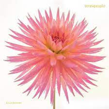 STRAWPEOPLE-KNUCKLEBONES LP *NEW*