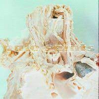 PALE SAINTS-IN RIBBONS CLEAR 2LP *NEW*