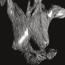 OCEANSIZE- SELF PRESERVED WHILE...CD VG