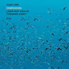IYER VIJAY-COMPASSION 2LP *NEW*