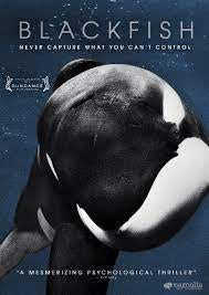 BLACKFISH-DVD NM