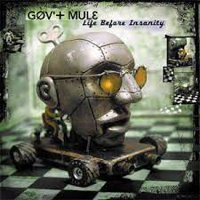 GOV'T MULE-LIFE BEFORE INSANITY 2LP *NEW*