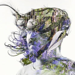 BIBIO-RIBBONS PURPLE VINYL 2LP *NEW* was $54.99 now...