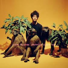 PELEMBE SKINNY-DREAMING IS DEAD NOW LP *NEW* $48.99 now...