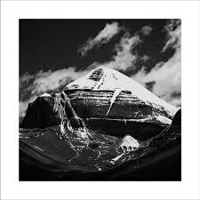 THROBBING GRISTLE-PART TWO: THE ENDLESS NIGHT CLEAR VINYL 3LP *NEW*”