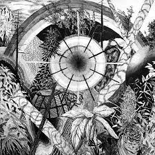 THEE OH SEES-DOG POISON LP *NEW*
