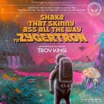KINGI TROY-SHAKE THAT SKINNY ASS CD G