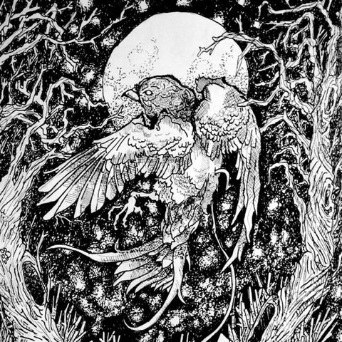 SNAG/ SWALLOWS NEST-SPLIT EP CASSETTE *NEW*