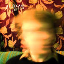 SEGALL TY-LEMONS LP *NEW*