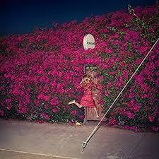 FEIST-PLEASURE CD *NEW*