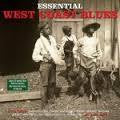 ESSENTIAL WEST COAST BLUES-VARIOUS ARTISTS 2LP *NEW*