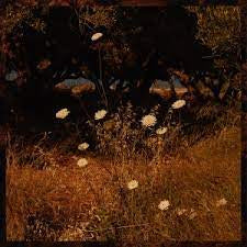 SZUN WAVES-EARTH PATTERNS CD *NEW*