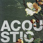 ACOUSTIC-VARIOUS ARTISTS 2CD VG