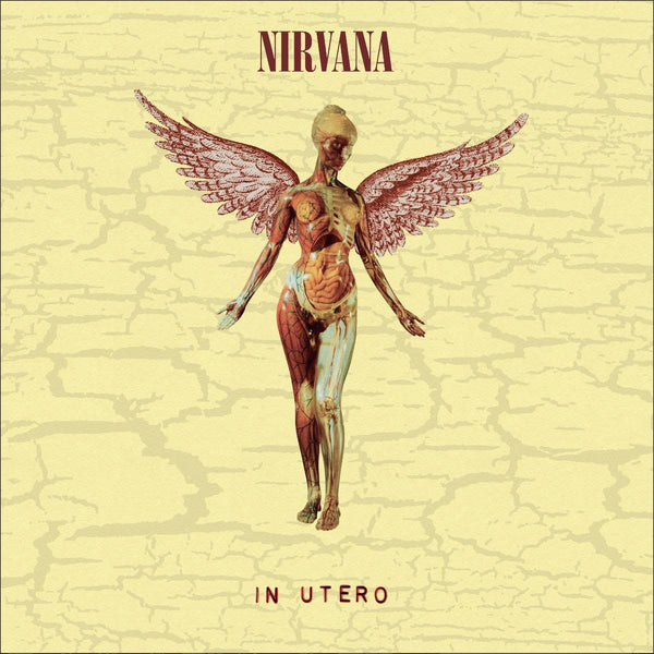 NIRVANA-IN UTERO DELUXE EDITION 2CD VG+