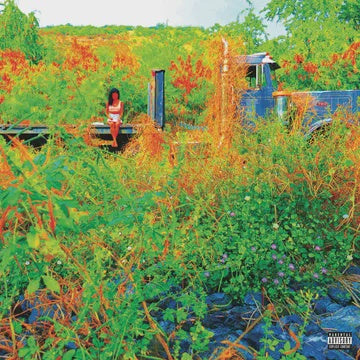 AIKO JHENE-TRIP PICTURE DISC 2LP *NEW*